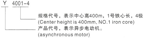 西安泰富西玛Y系列(H355-1000)高压YJTFKK4005-2/450KW三相异步电机型号说明