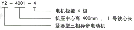 YR系列(H355-1000)高压YJTFKK4005-2/450KW三相异步电机西安西玛电机型号说明